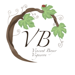 Vincent Boyer, vigneron